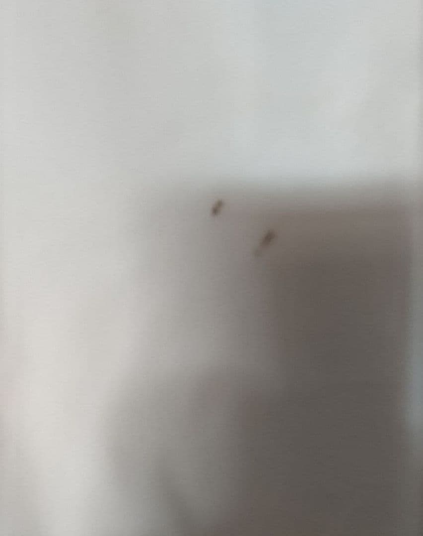 TEAM DESCENT ウエア