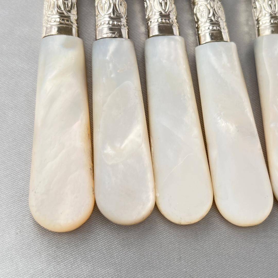 【Cooper Ludlam】【白蝶貝 】フルーツ / デザートセット 12本