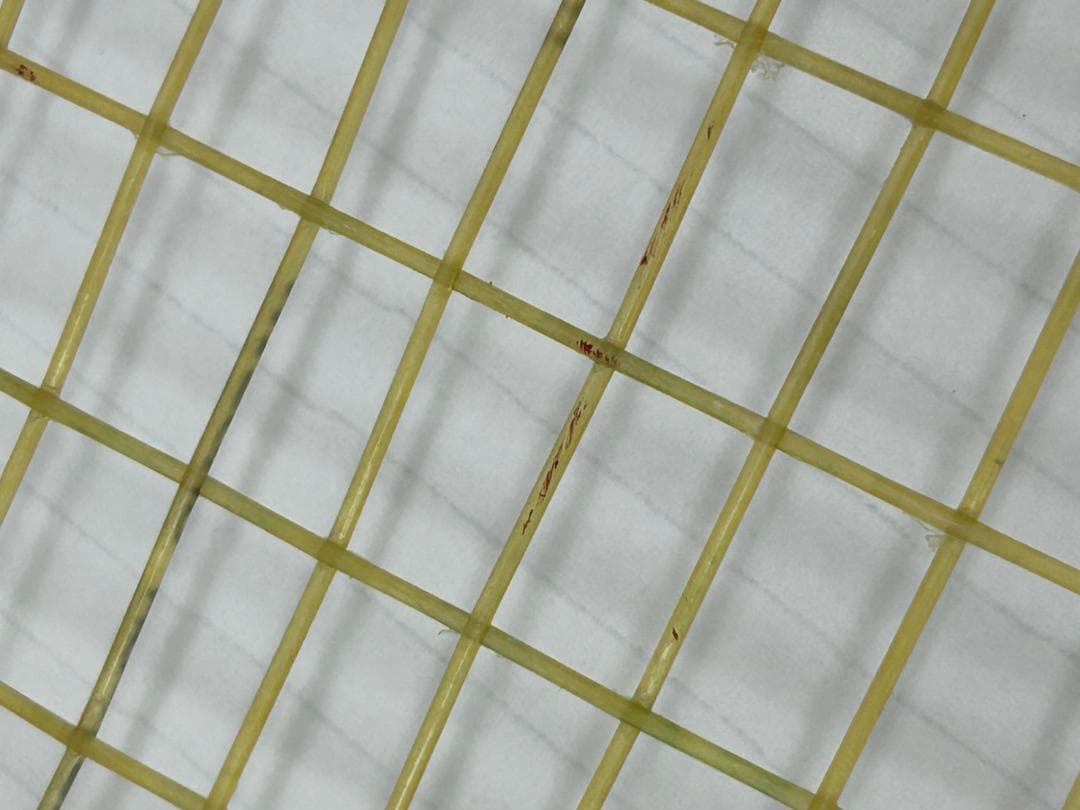 25M11-090 テニスラケット 2本セット MIZUNO ミズノ スポーツ