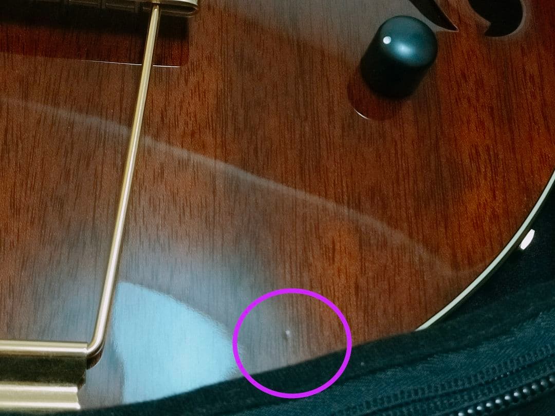 ロゼオ ギター Rozeo Ladybug フルアコースティック 美品