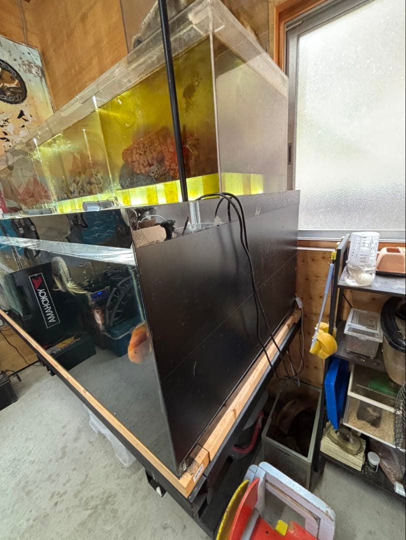 大型水槽セット