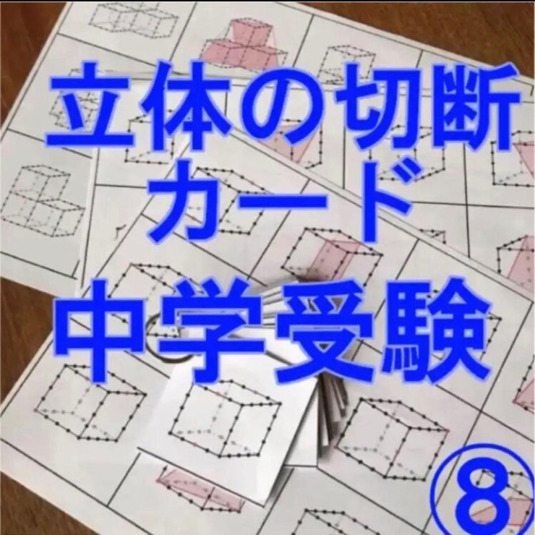 るか　立体の切断模型 ①②③④⑤⑥⑦⑧⑨⑩セット