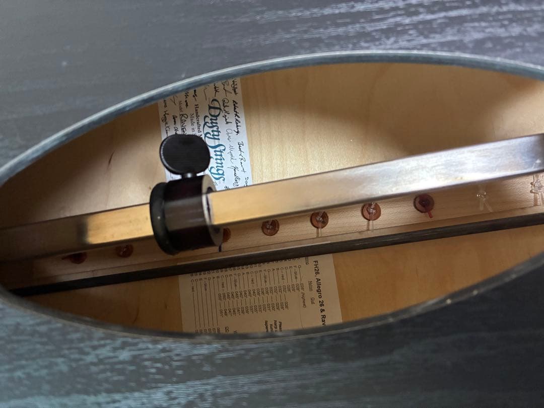 ハープ　ravenna26 ダスティストリングス