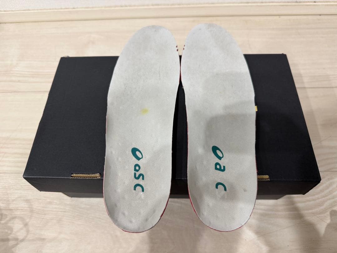 アシックス DSライト Xフライ プロ3 24.5cm