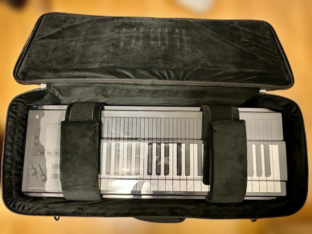 Expressive E Osmose 49鍵盤