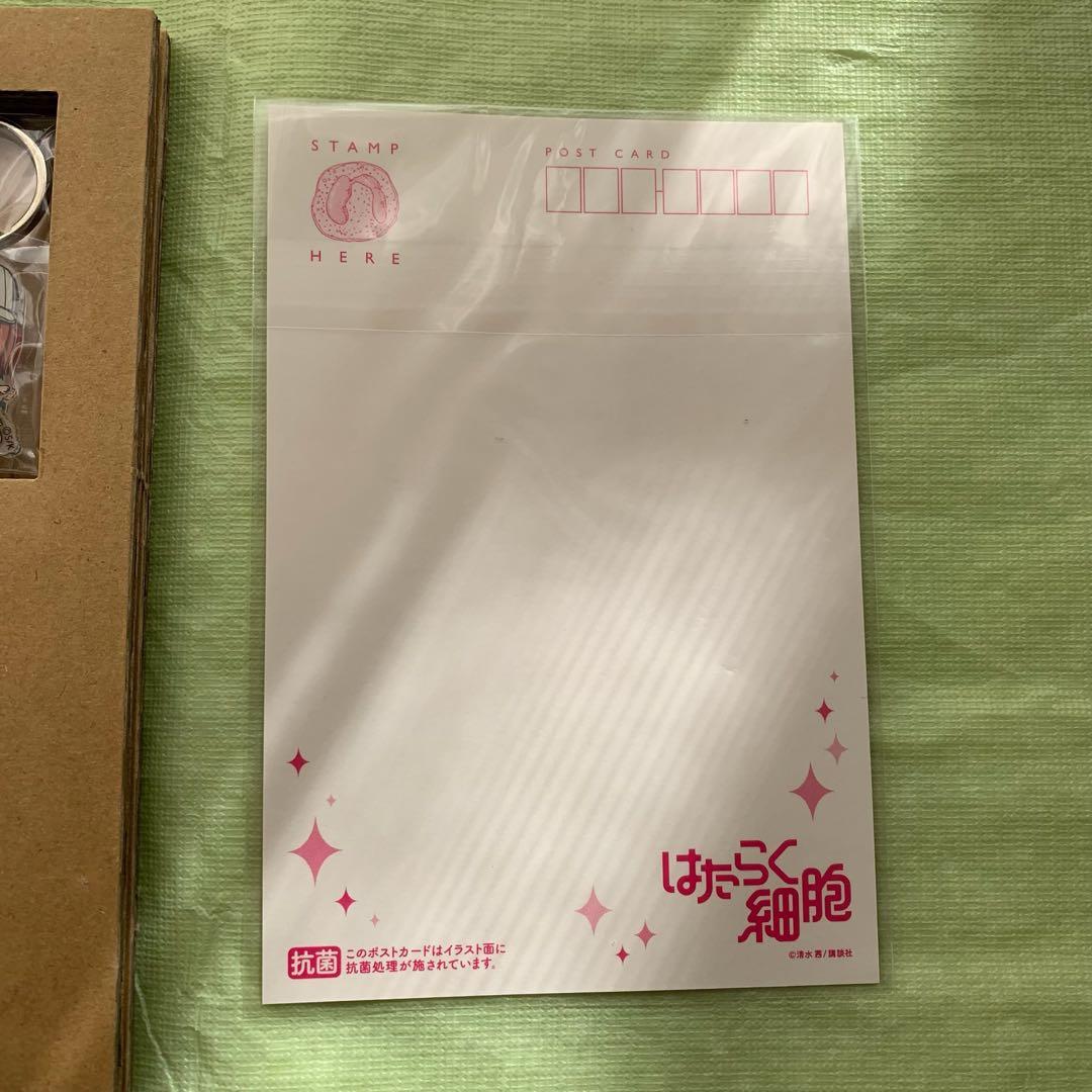 はたらく細胞 全巻セット はたらく細菌 アクリルキーホルダー 公式ファンブック