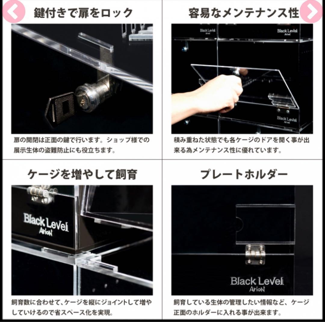 Arion Black Level 高級 アリオン 爬虫類飼育　ケージ　鍵付き