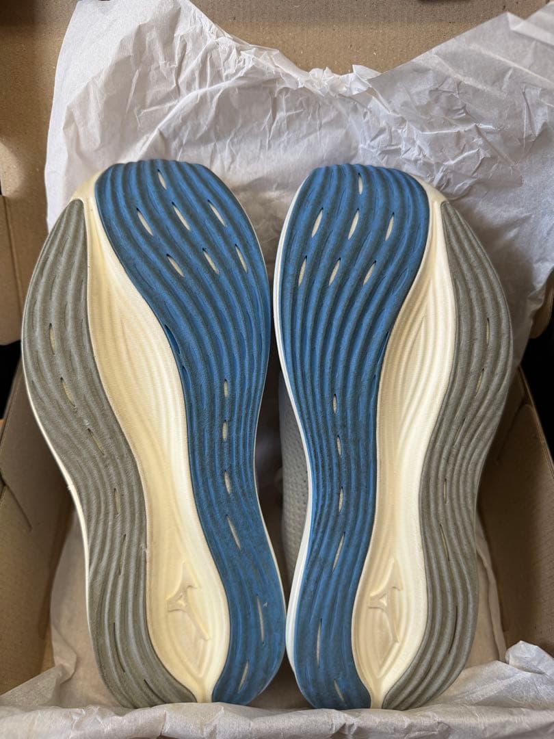 ミズノネオゼン 27.0