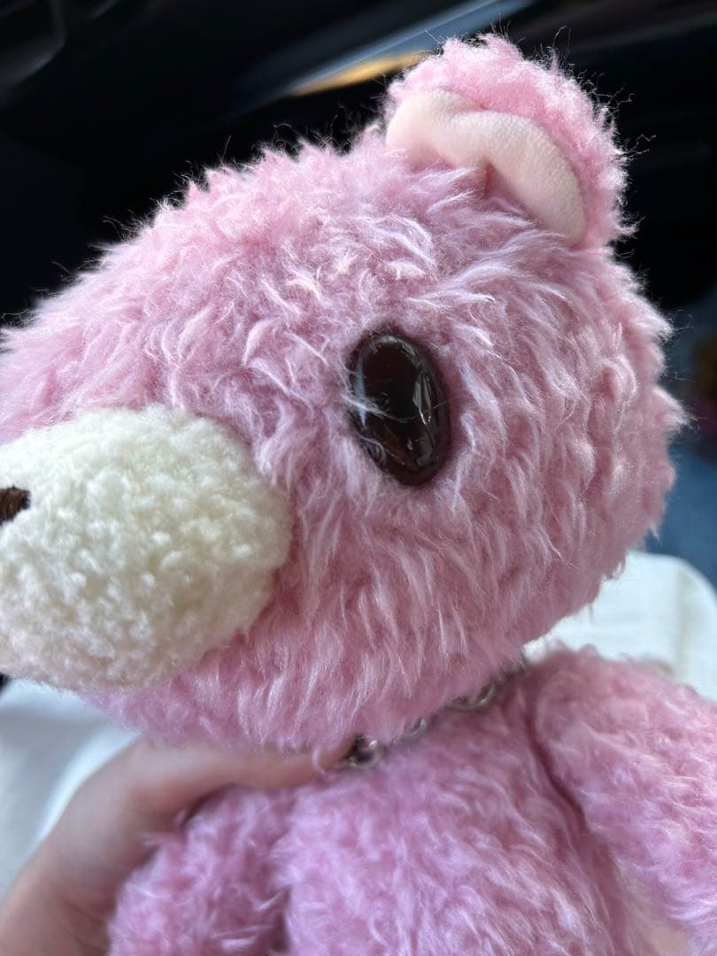 チャックス　テディグルーミー　激レア　ぬいぐるみ　レトロ　限定販売　ドール