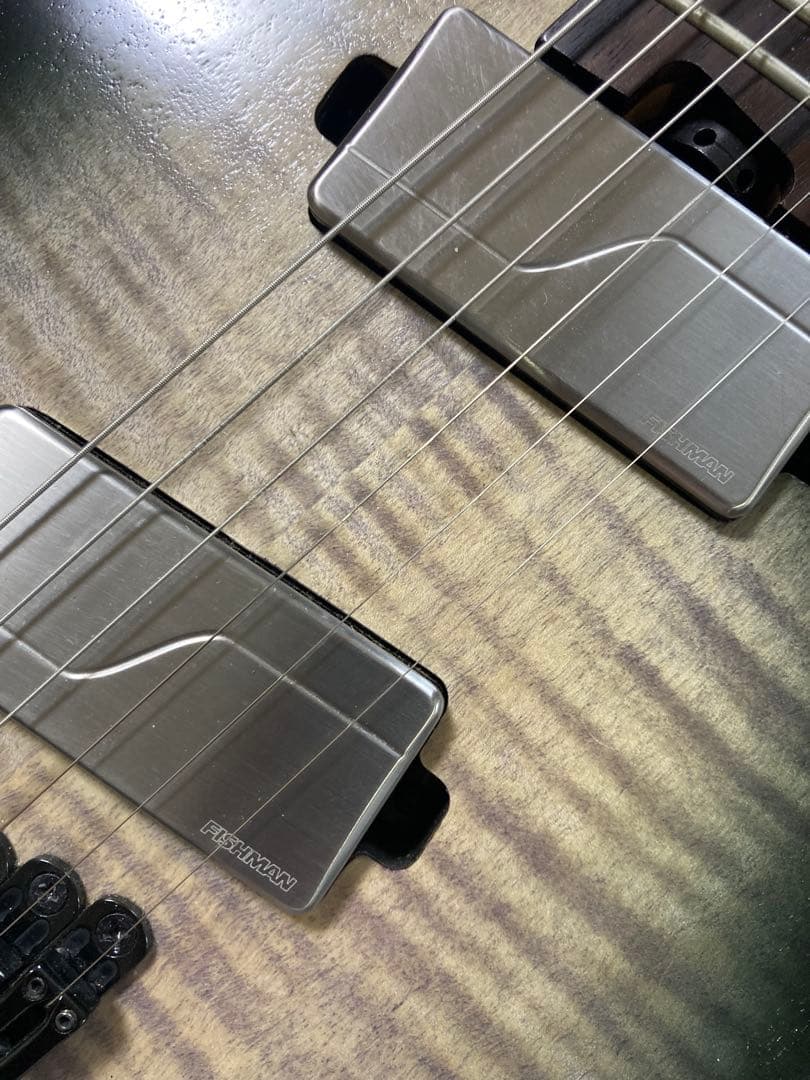 ギター Ibanez Axion Label RGD61ALMS