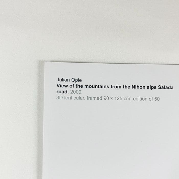 限定マット額装品/View of the mountains/ジュリアン・オピー