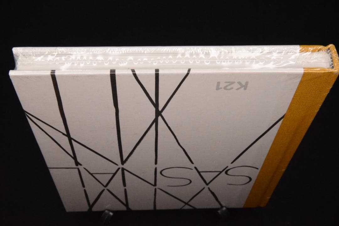 【Wilhelm Sasnal 】ヴィルヘルム・サスナル　★大幅に値下げしました