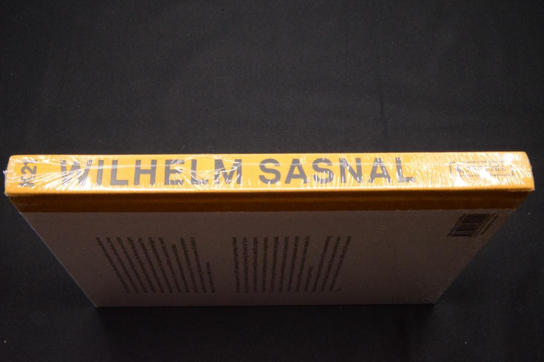 【Wilhelm Sasnal 】ヴィルヘルム・サスナル　★大幅に値下げしました