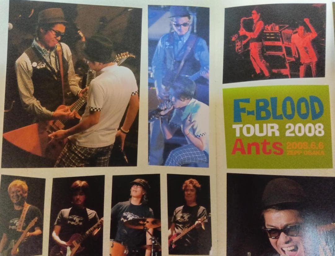 藤井フミヤ F-BLOOD TOUR 2008 Ants DVD FC会員限定品