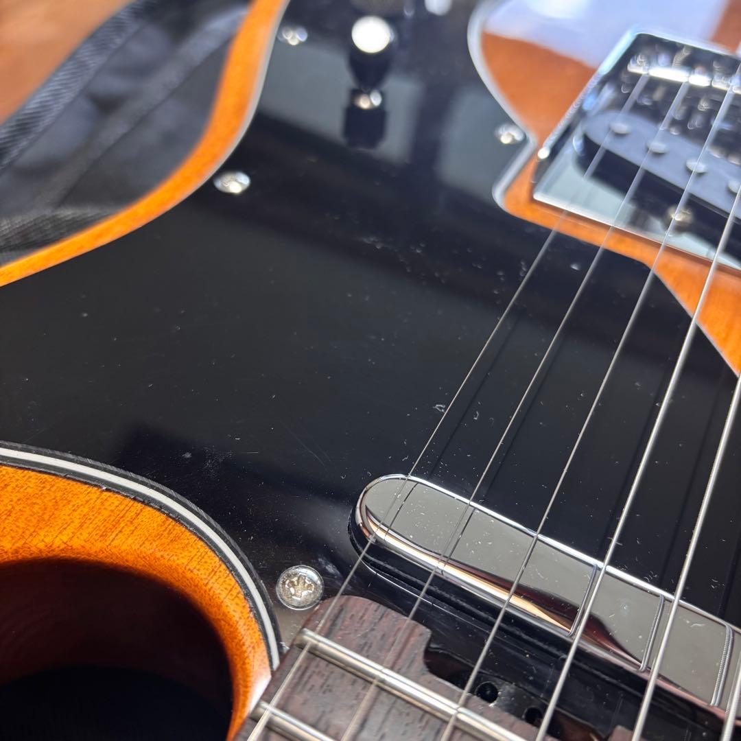 美品 SCHECTER OL-PT-TH 限定生産 シンライン 即購入可