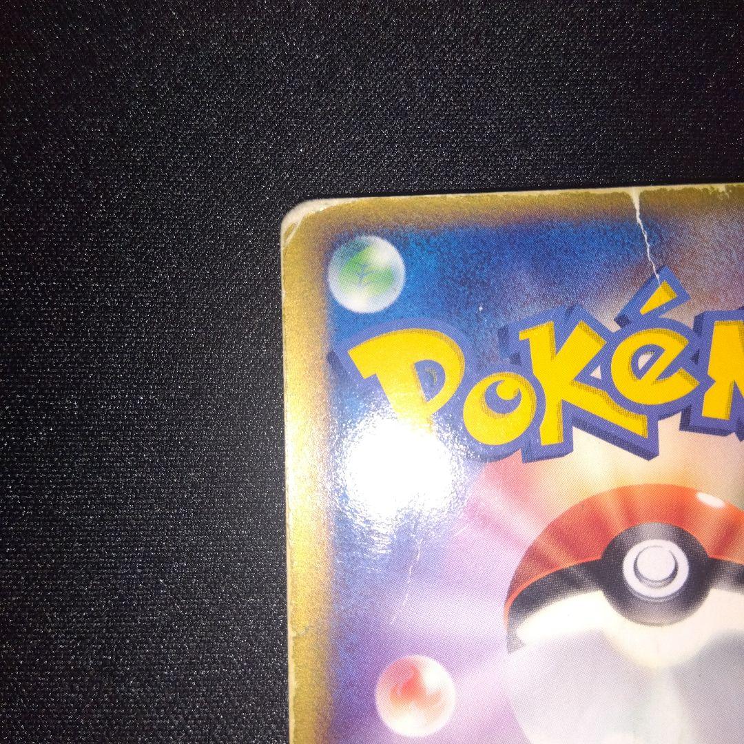 ポケパーク　グラードン　ゴンベ　ピカチュウ