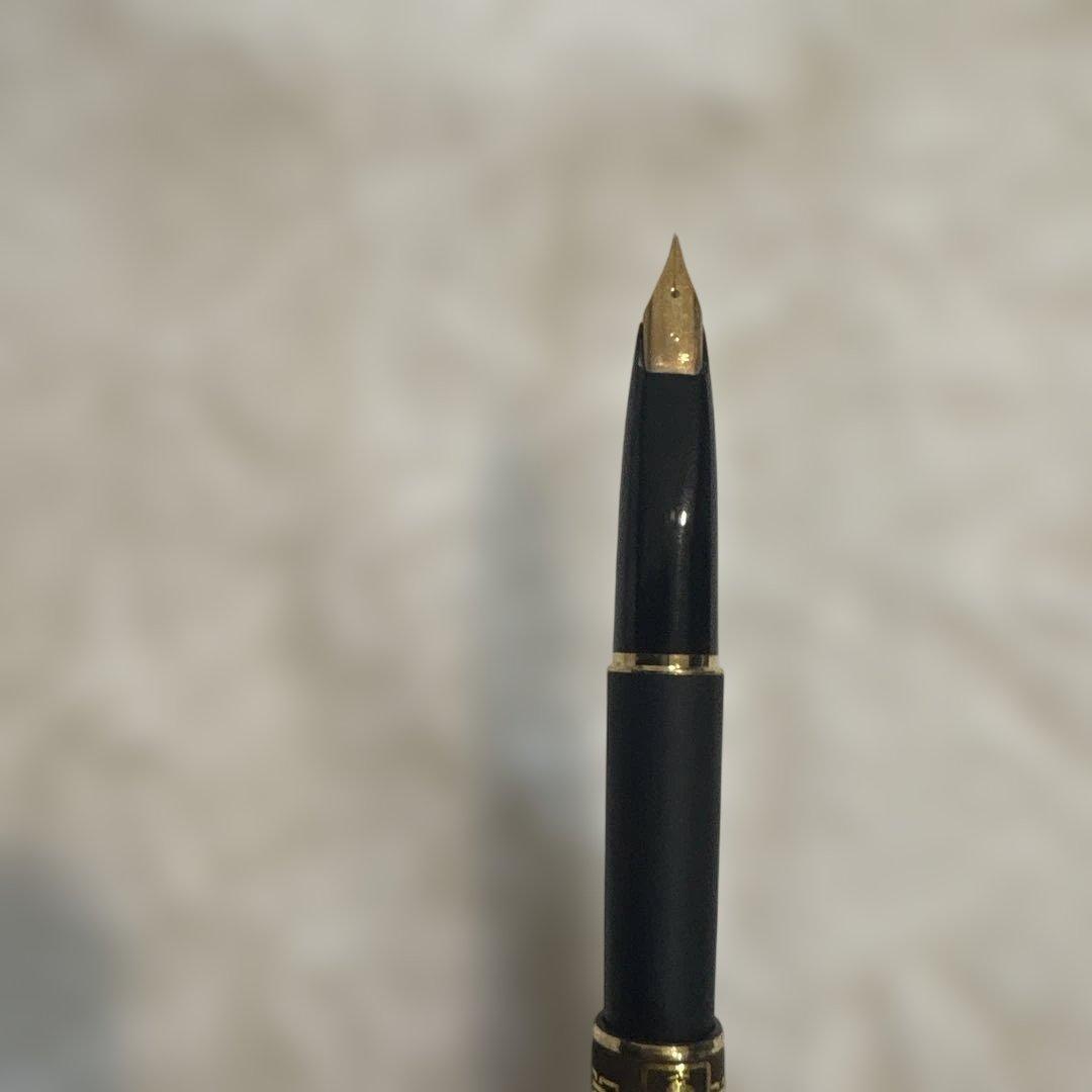 PLATINUMとプレイボーイのコラボ万年筆　新品