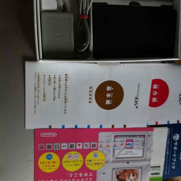 ニンテンドーDSi