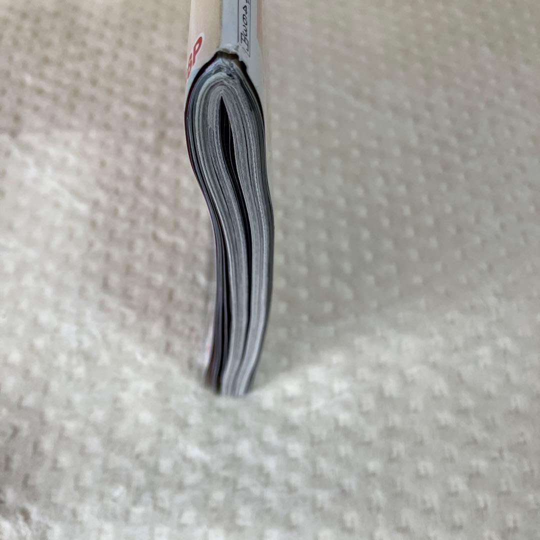 週刊プレイボーイ 2018年No.19GW特大号 今田美桜DVD付き　西野七瀬