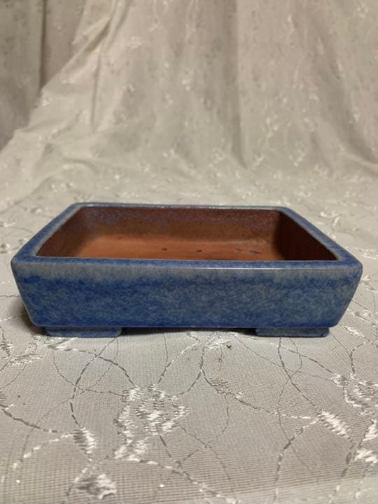 落款有り　長方　青　盆栽鉢