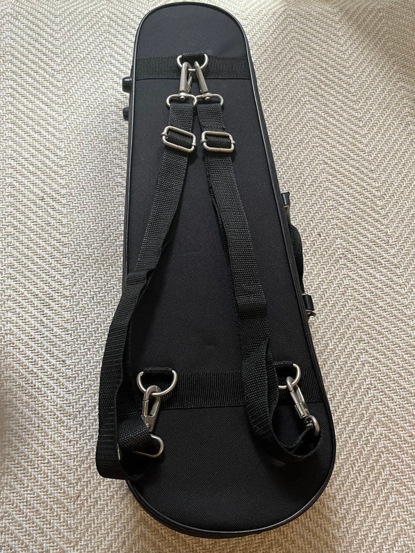 カルロジョルダーノVS1 バイオリン1/10 （ケース、肩当て、松脂付き）