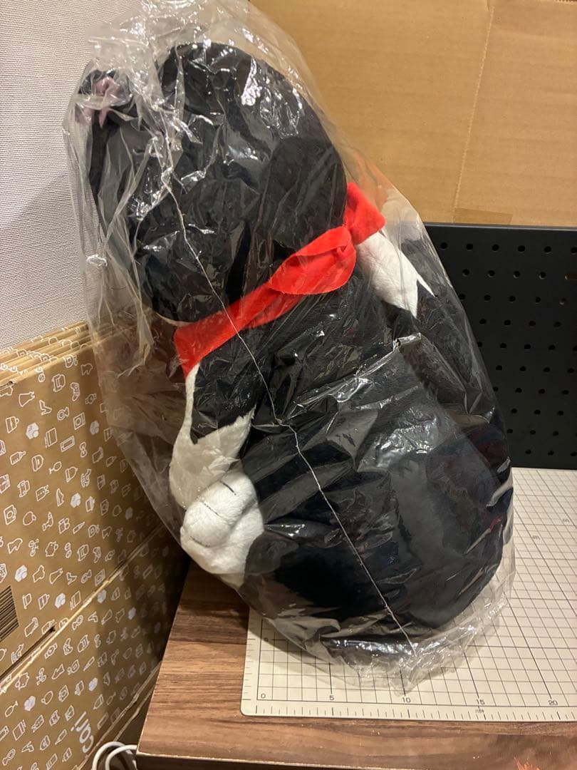 にゃんこい！　ニャムサス　ぬいぐるみ　ムービック　TBSテレビ　藤原里