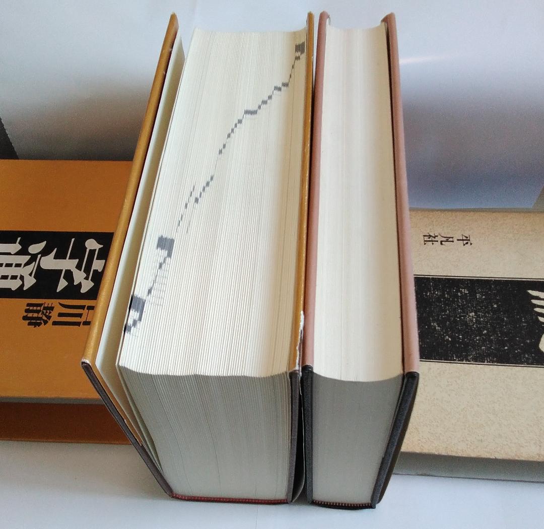 字源辞典「字統」、漢和辞典「字通」　白川静　平凡社　２冊セット