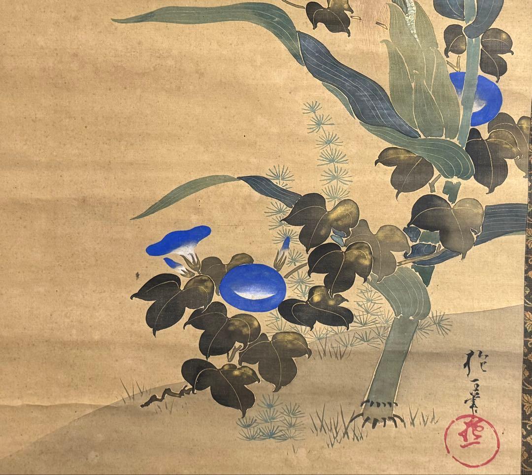 酒井抱一筆　絹本肉筆　朝顔　沒骨法　掛軸　送料込み250824