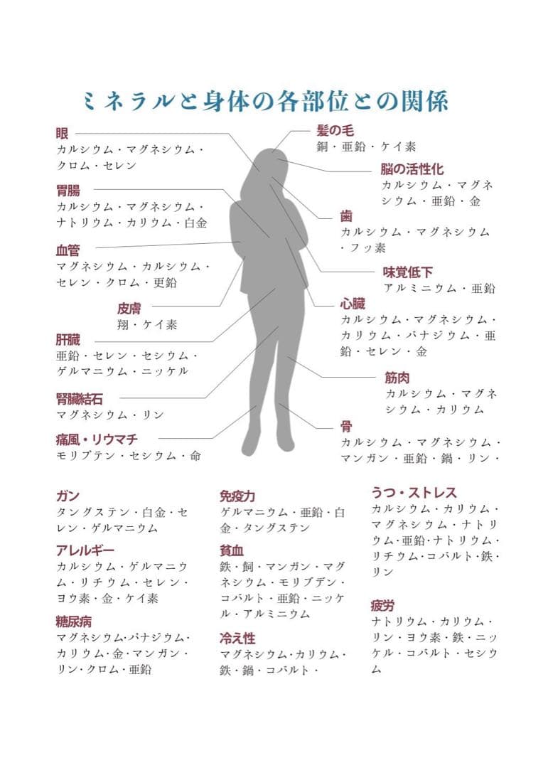 シャシャ　Mineral Life Water