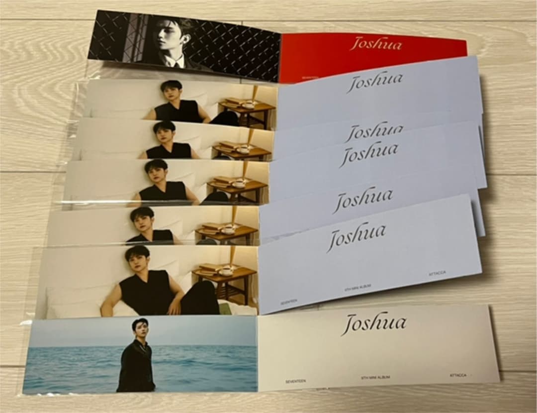 SEVENTEEN セブチ セブンティーン ジョシュア ジス