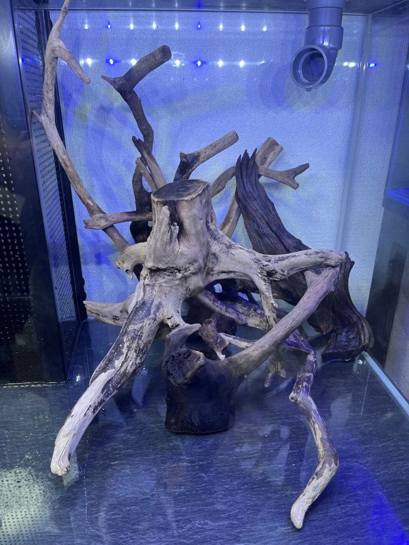 最終処分価格‼️ 使用期間3カ月コトブキレグラス600x450xh450フルセット