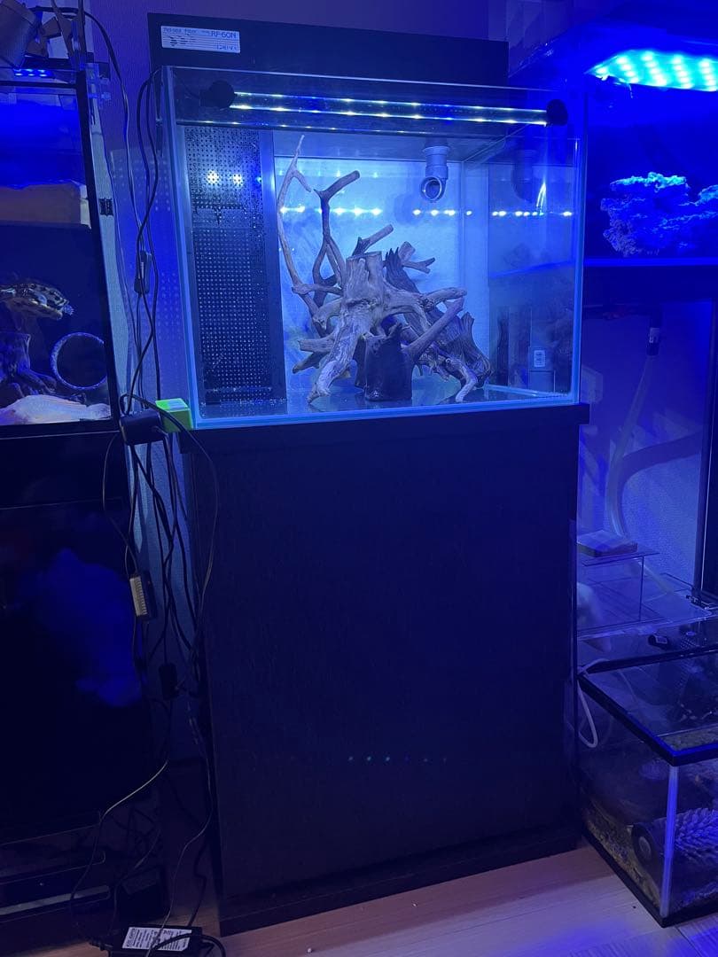 最終処分価格‼️ 使用期間3カ月コトブキレグラス600x450xh450フルセット