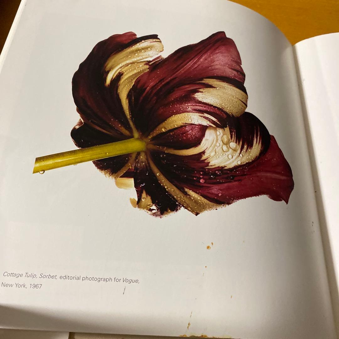 アート・デザイン・音楽 Irving Penn Still Life