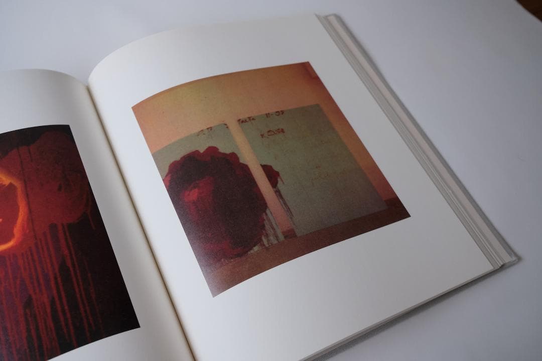 アート・デザイン・音楽 Cy Twombly Photographs
