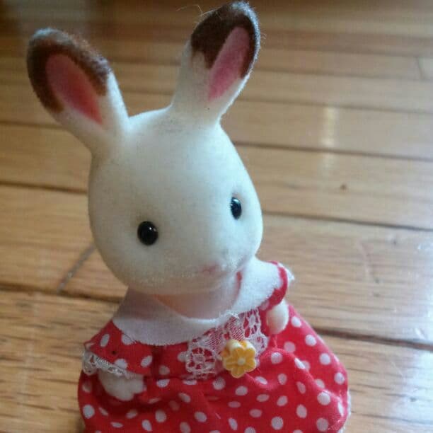 シルバニア 確認用