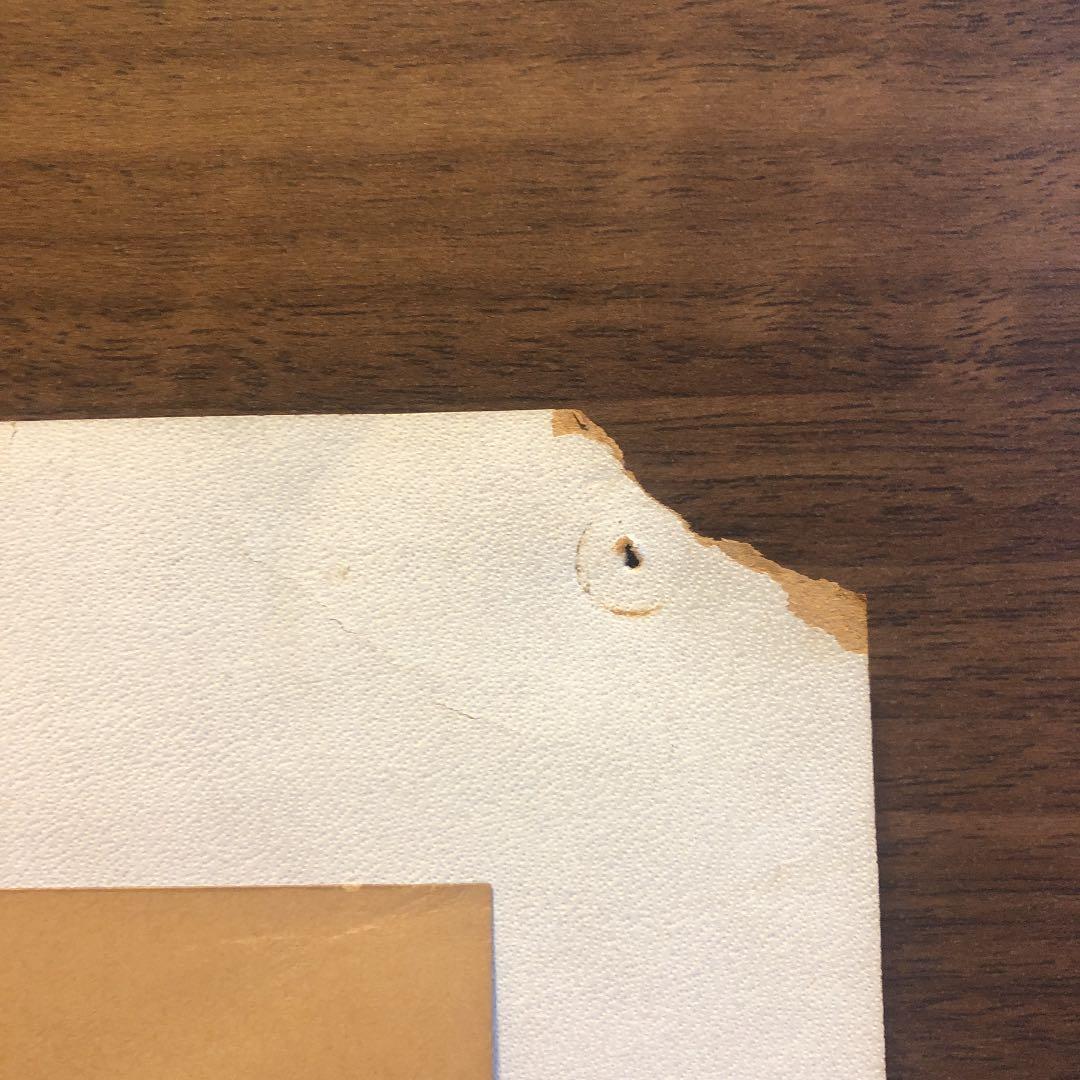 フランツ・リスト（リスト・フェレンツ） Liszt Ferenc 肖像画