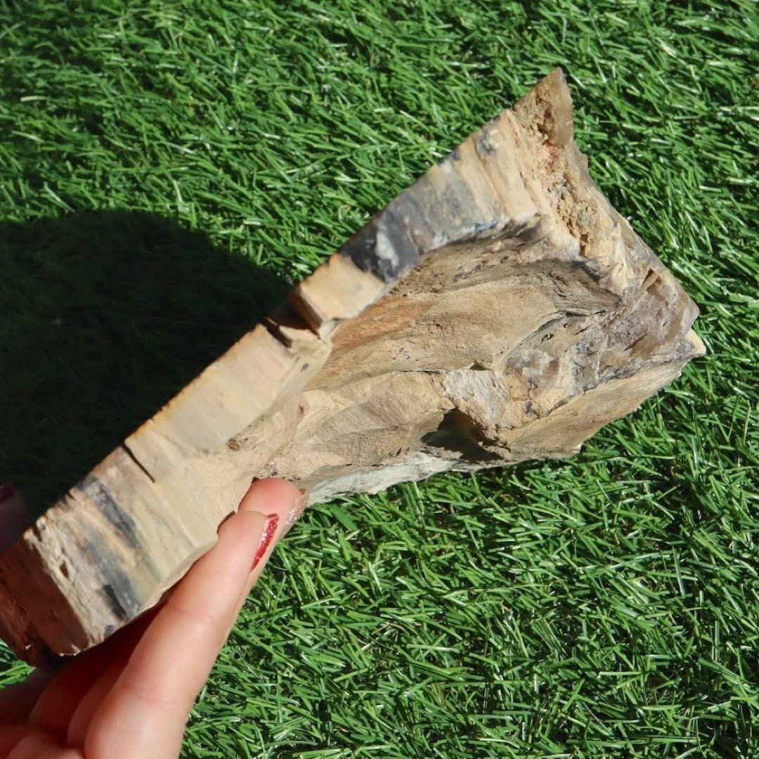 特特特大！珪化木 ペトリファイドウッド 1433g PFW029　 原石 天然石