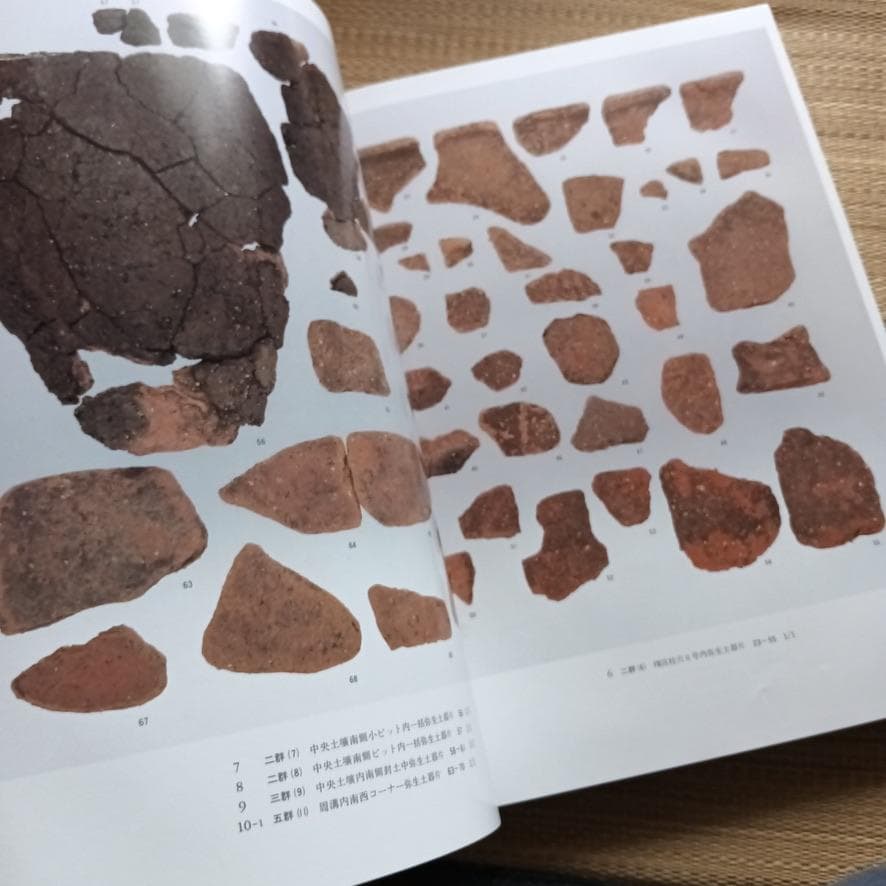 平原弥生古墳　大日霎貴の墓　上下セット　考古学　資料　希少歴史