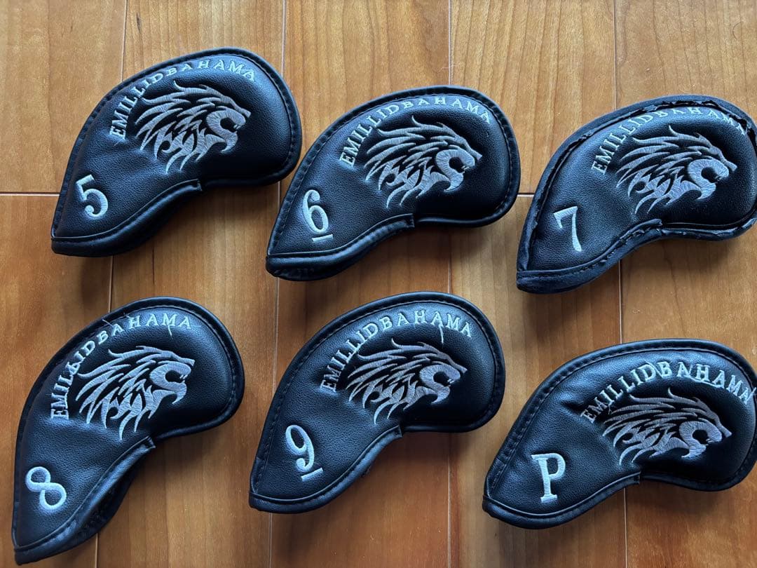 エミリットバハマ中空アイアンセット（5-P、6本）