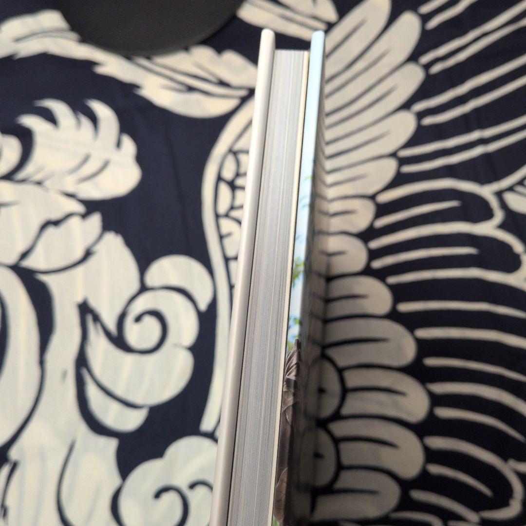 南総の彫工 初代後藤義光 第1巻・第2巻