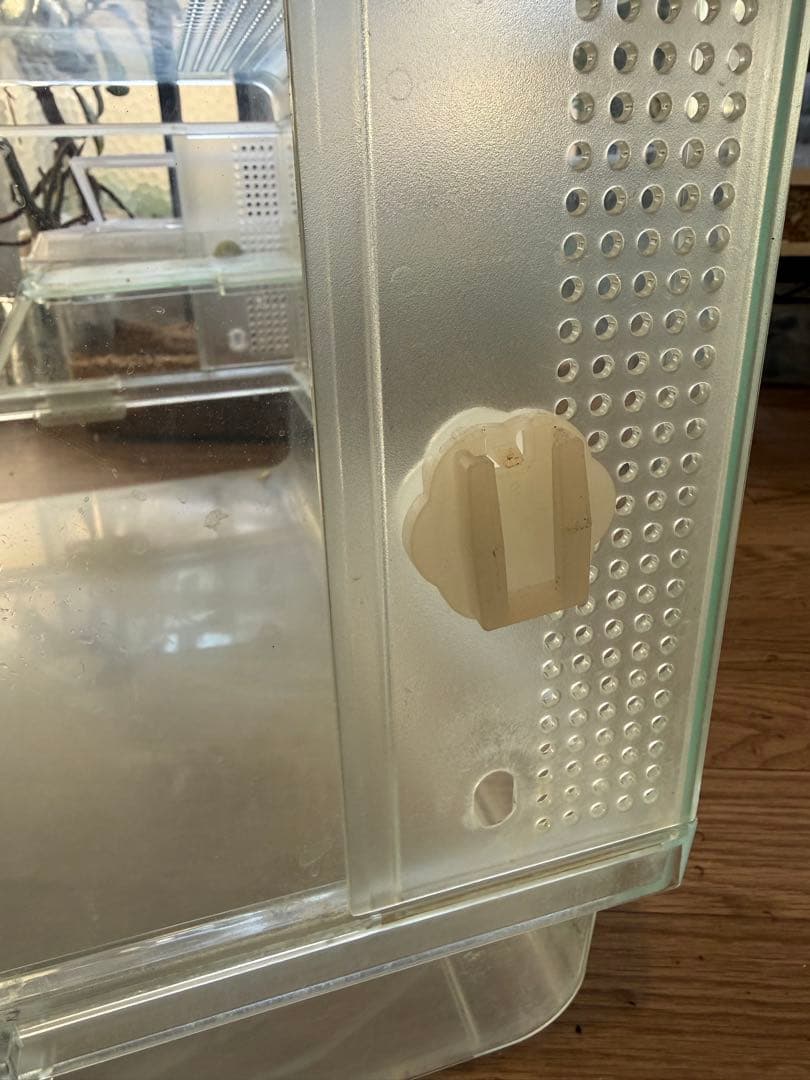 GEX グラスハーモニー600＋ステージ