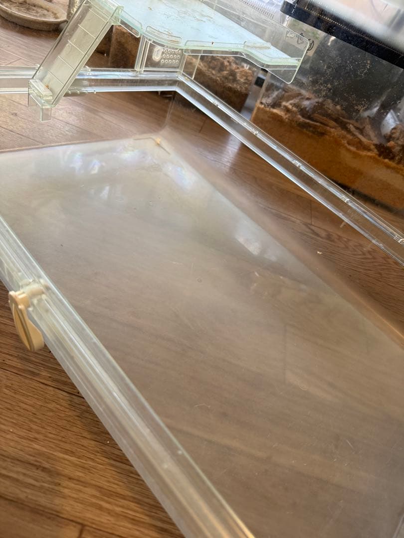 GEX グラスハーモニー600＋ステージ