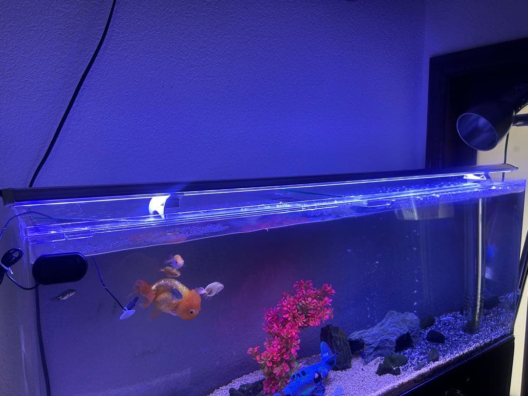 ZENSUI LEDライト 120センチ青色 長いタイプ