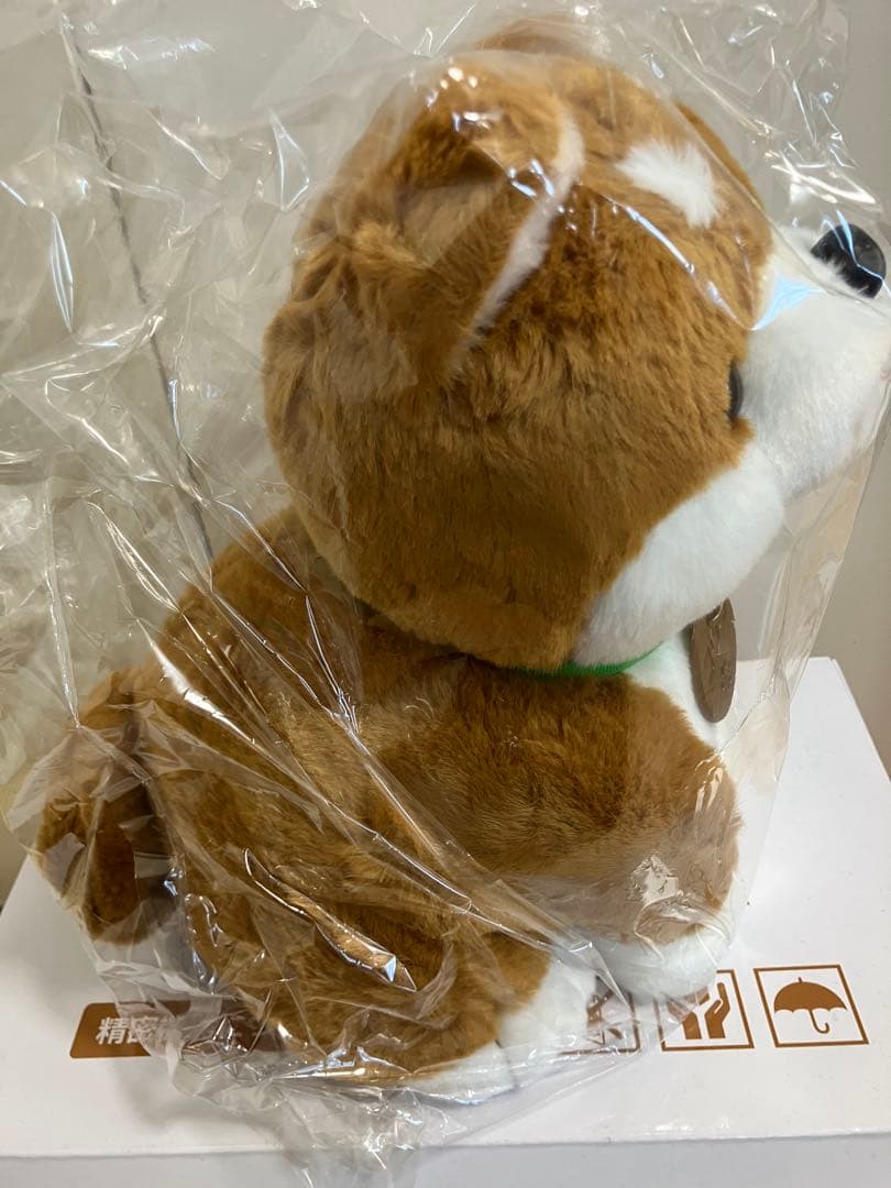 おしゃべり柴犬コウタ