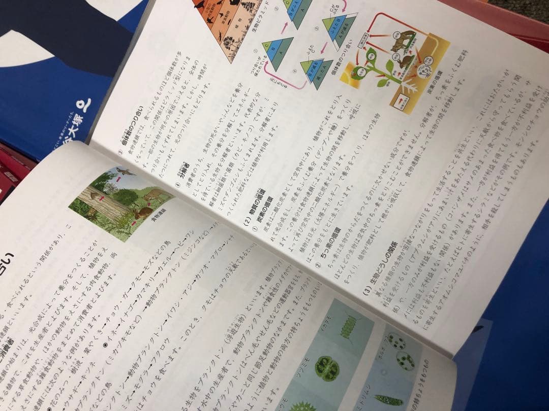 四谷大塚5年予習シリーズ国算理社 /演習/漢字/計算下　中古　2023年版