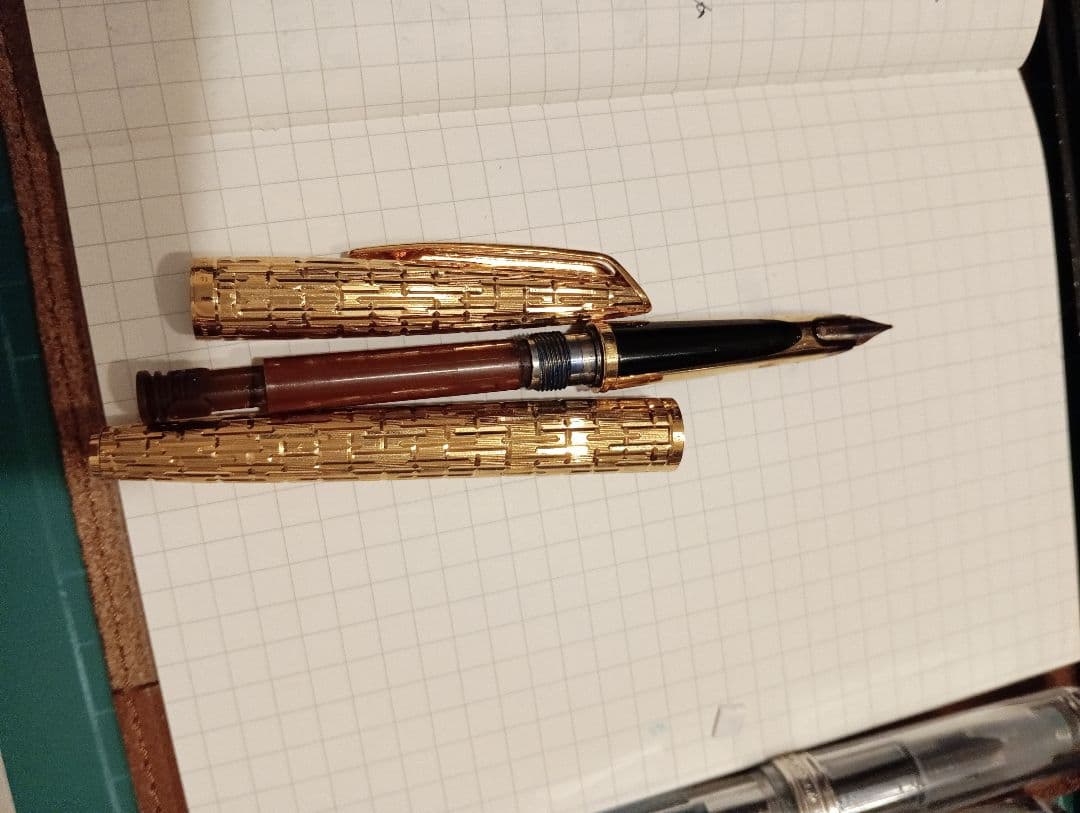 ウォーターマン　cp2 ワニ柄