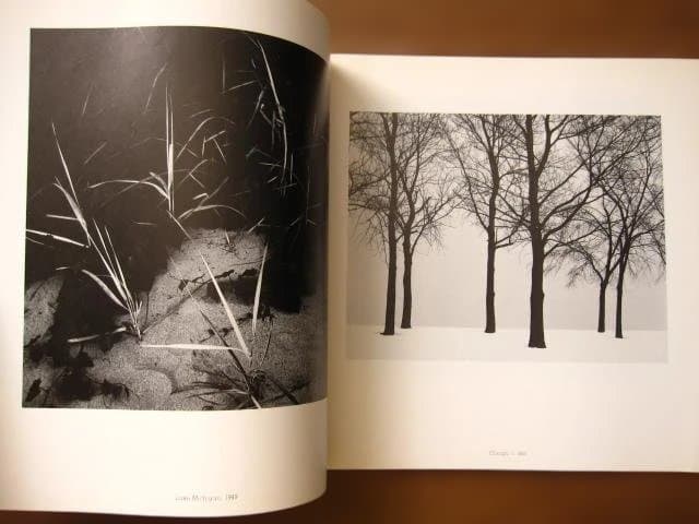 アート・デザイン・音楽 Harry Callahan photographs An exhibition