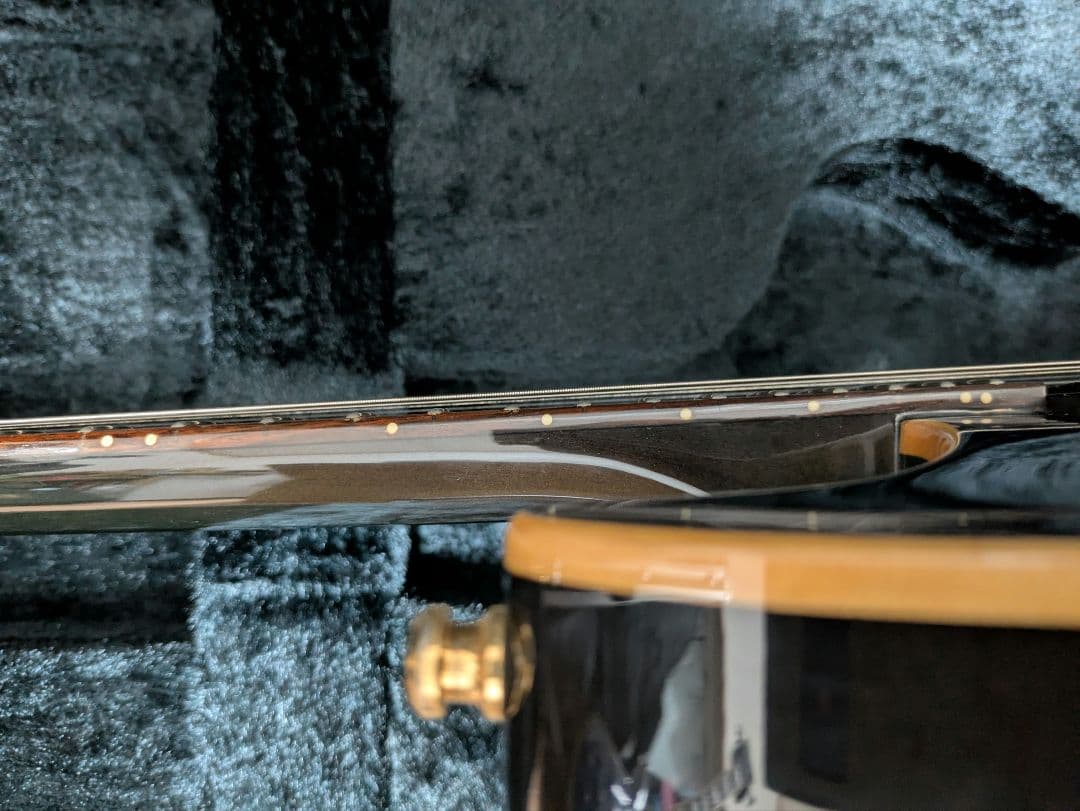 FERNANDES APG 100 24F仕様