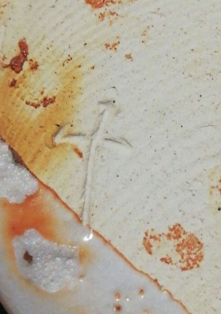 鵬雲斎書付　加藤十右衛門作　志野焼　水指　共箱　茶道具