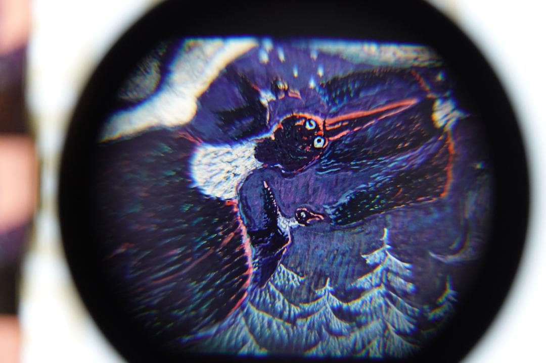 ジブリ映画フィルム　魔女の宅急便　ウルスラの絵６枚セット